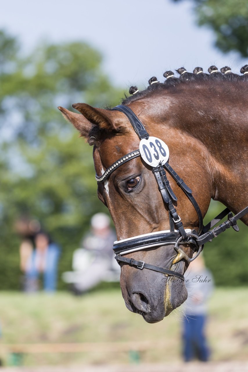 Bild 314 - Pony Akademie Turnier